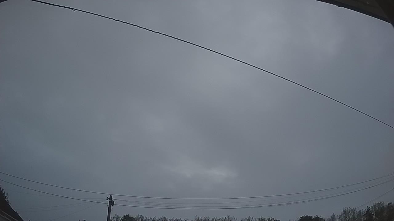 20260913_052116_cam2.jpg