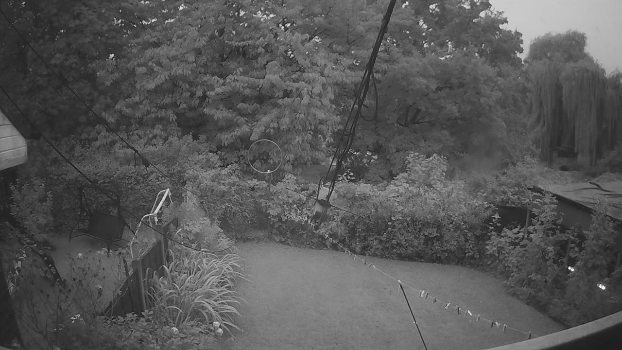 20260913_052600_cam1.jpg