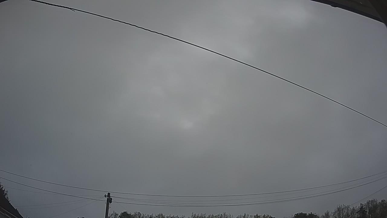 20260913_053056_cam2.jpg