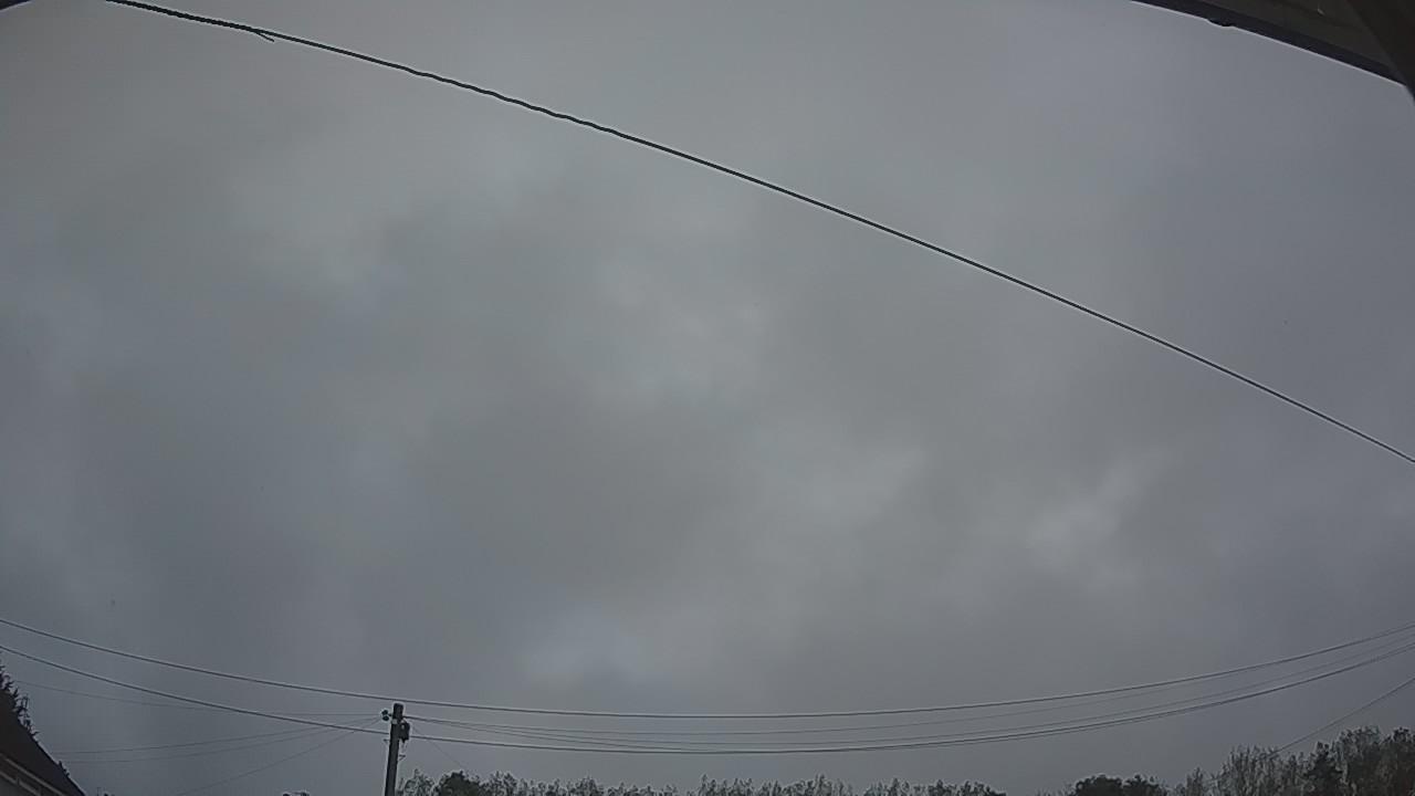 20260913_054537_cam2.jpg