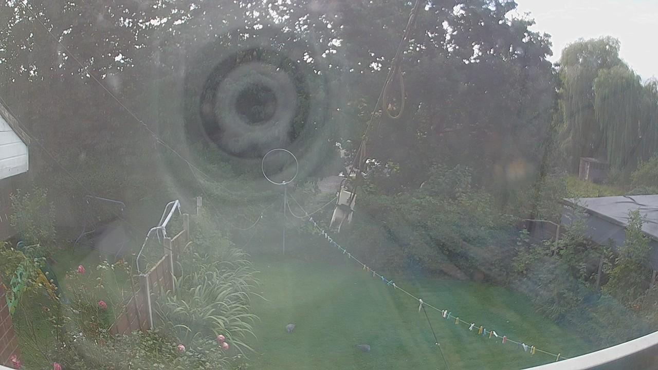 20260913_131341_cam1.jpg
