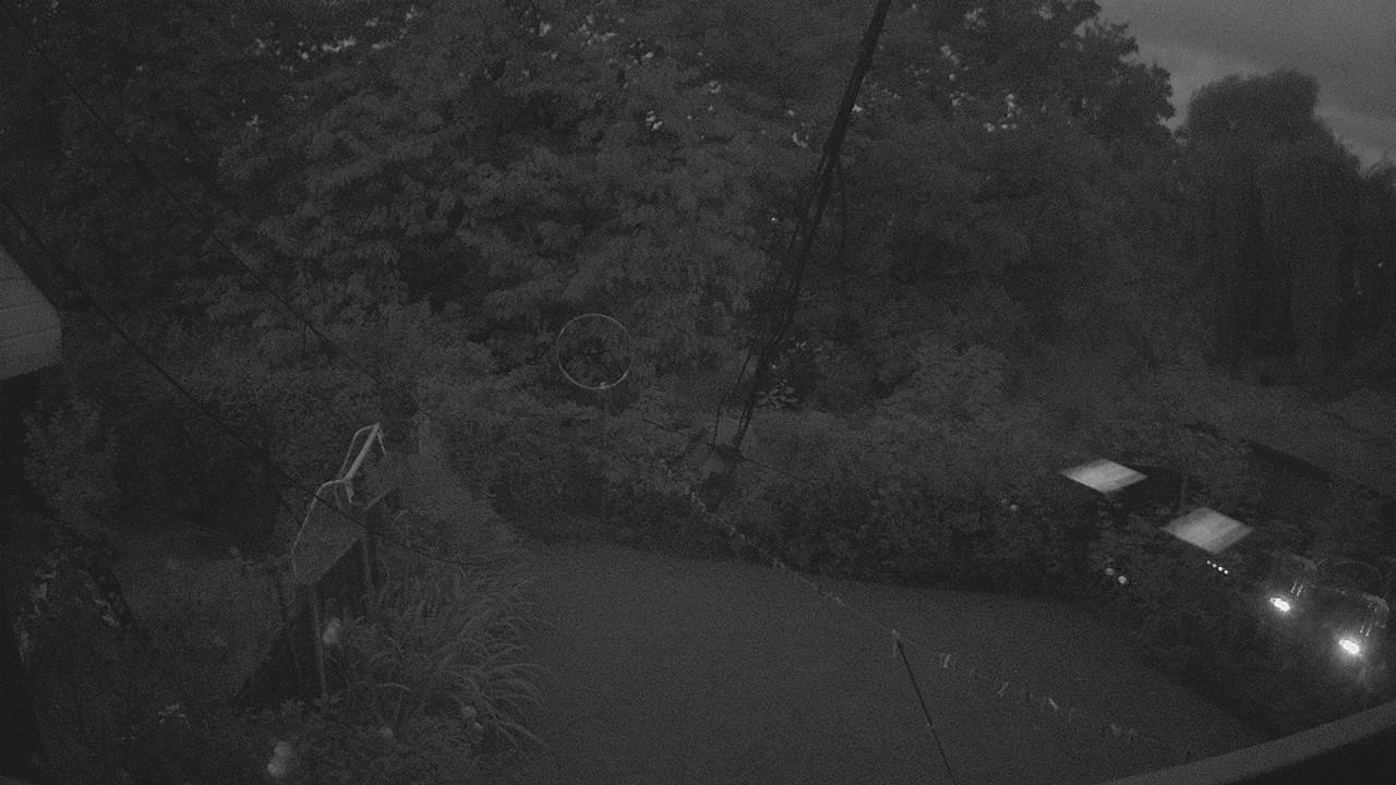 20260914_050612_cam1.jpg