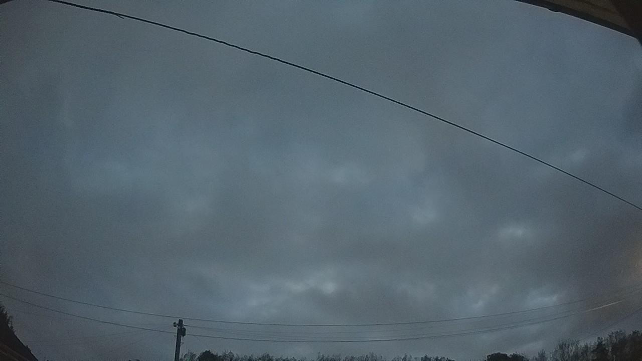 20260914_051031_cam2.jpg