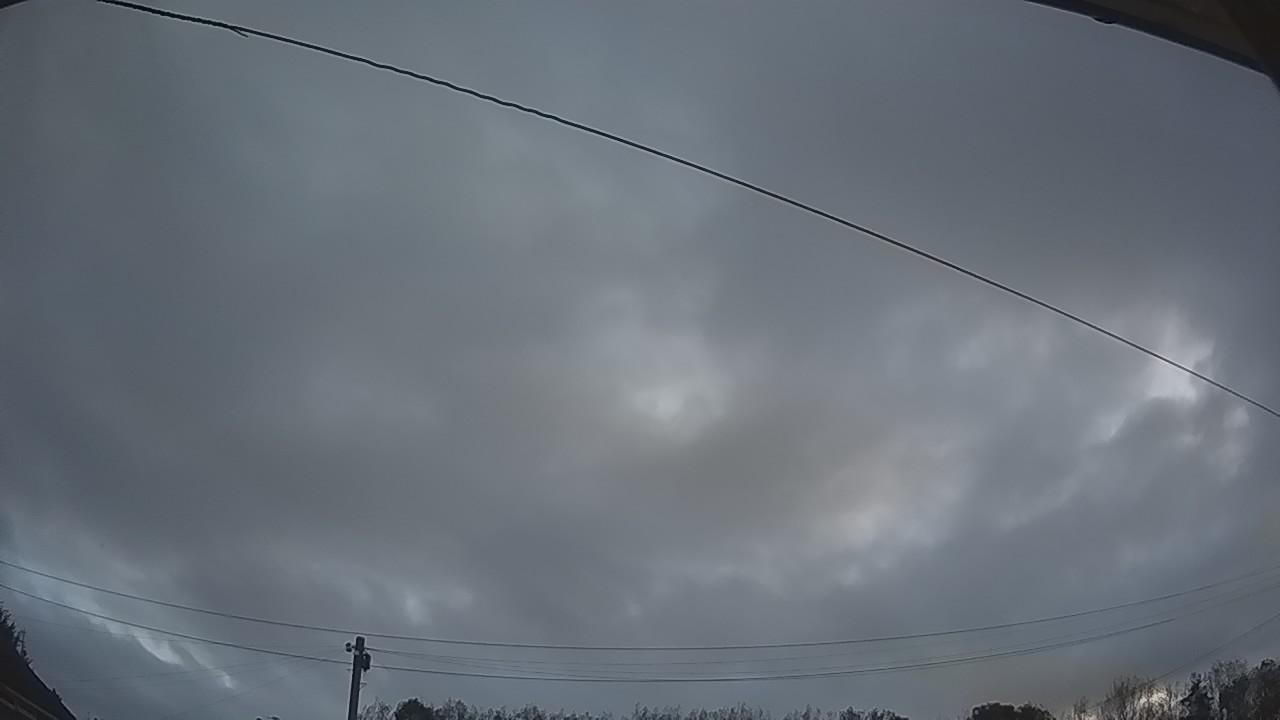 20260914_051906_cam2.jpg