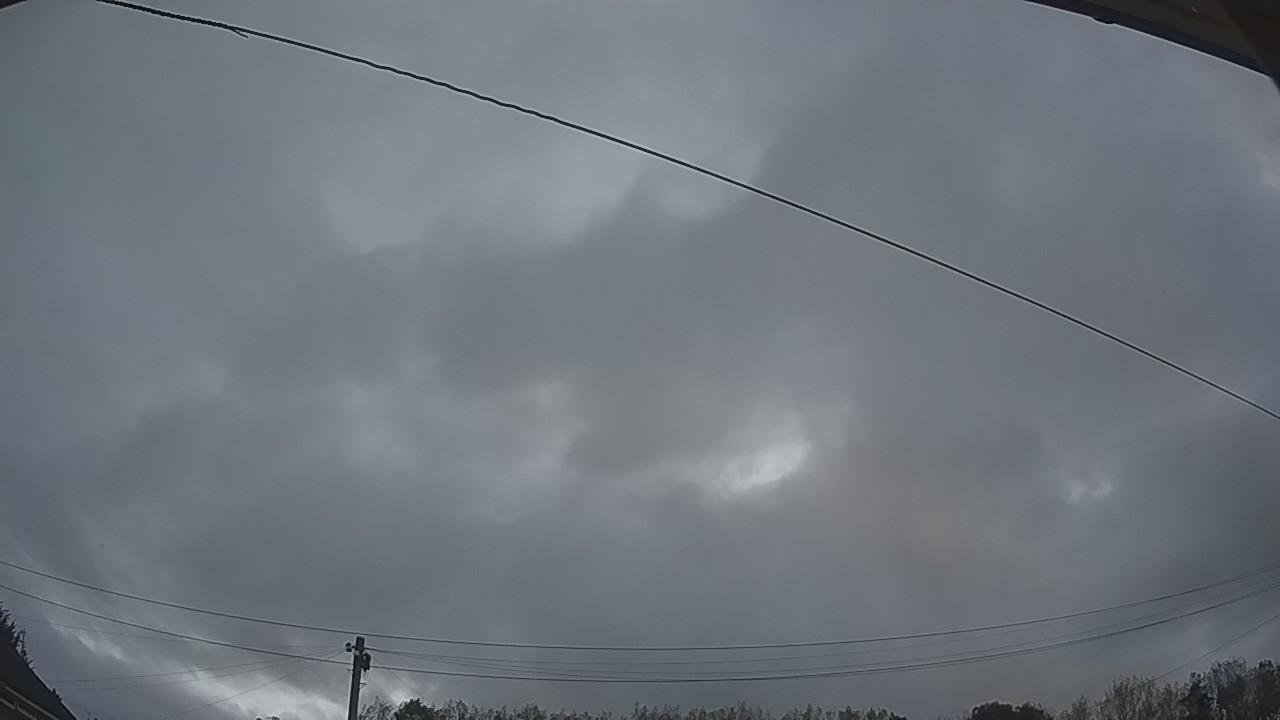 20260914_052323_cam2.jpg