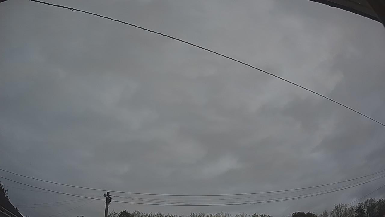 20260914_053159_cam2.jpg