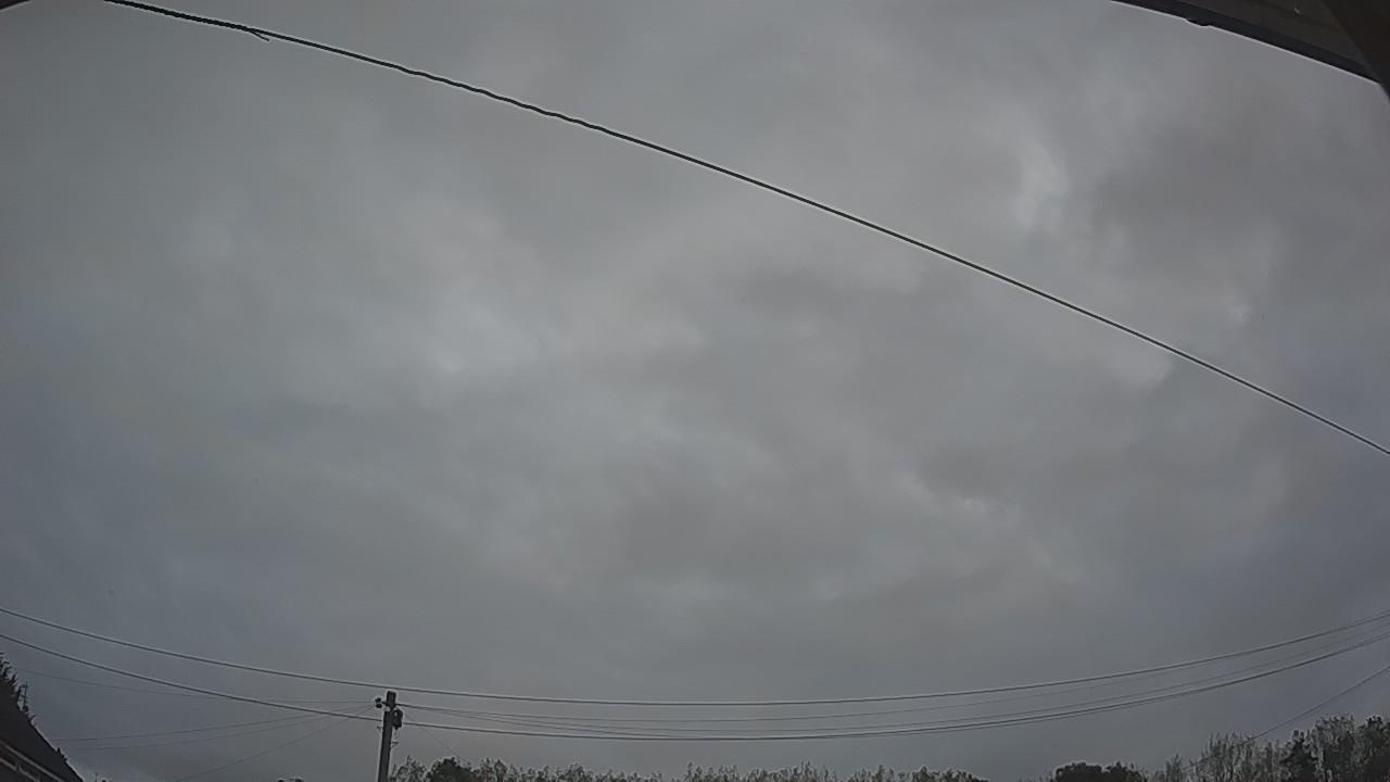 20260914_053617_cam2.jpg