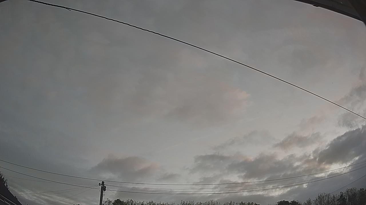 20260914_054910_cam2.jpg