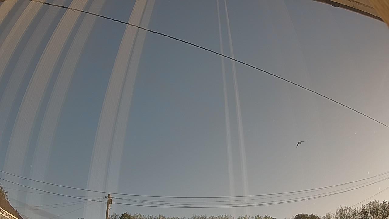 20260914_070340_cam2.jpg