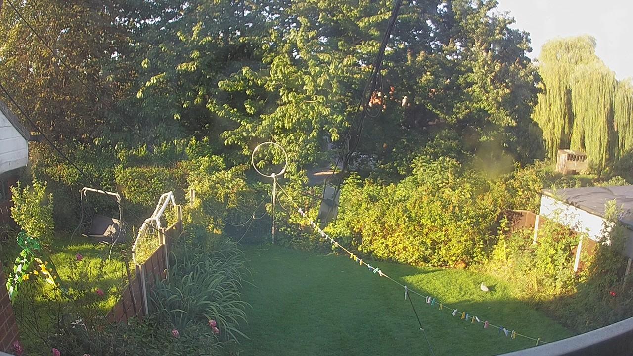 20260914_072203_cam1.jpg