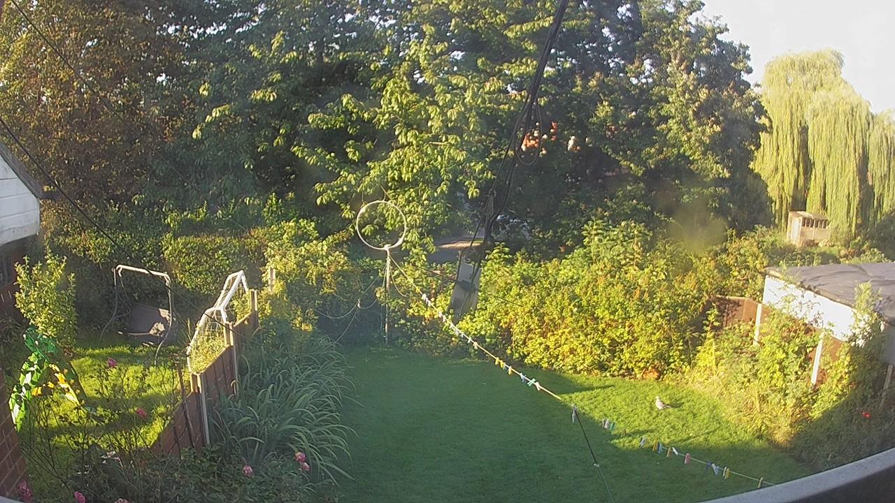 20260914_072639_cam1.jpg
