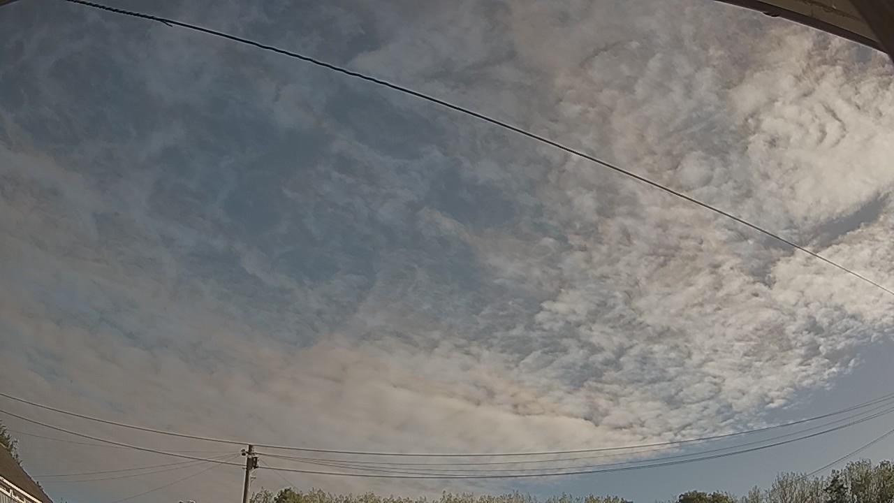 20260914_080320_cam2.jpg