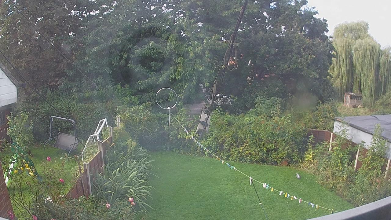 20260914_080746_cam1.jpg