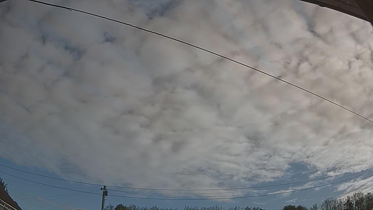 20260914_081213_cam2.jpg