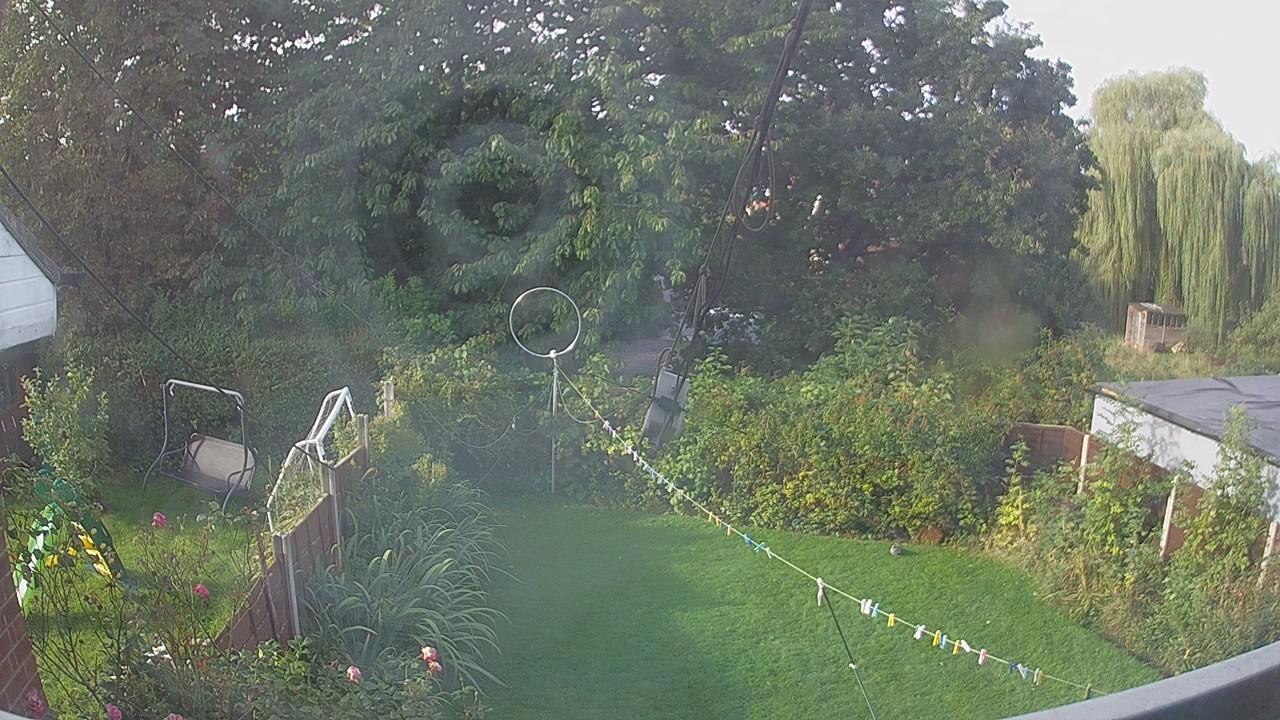 20260914_081638_cam1.jpg