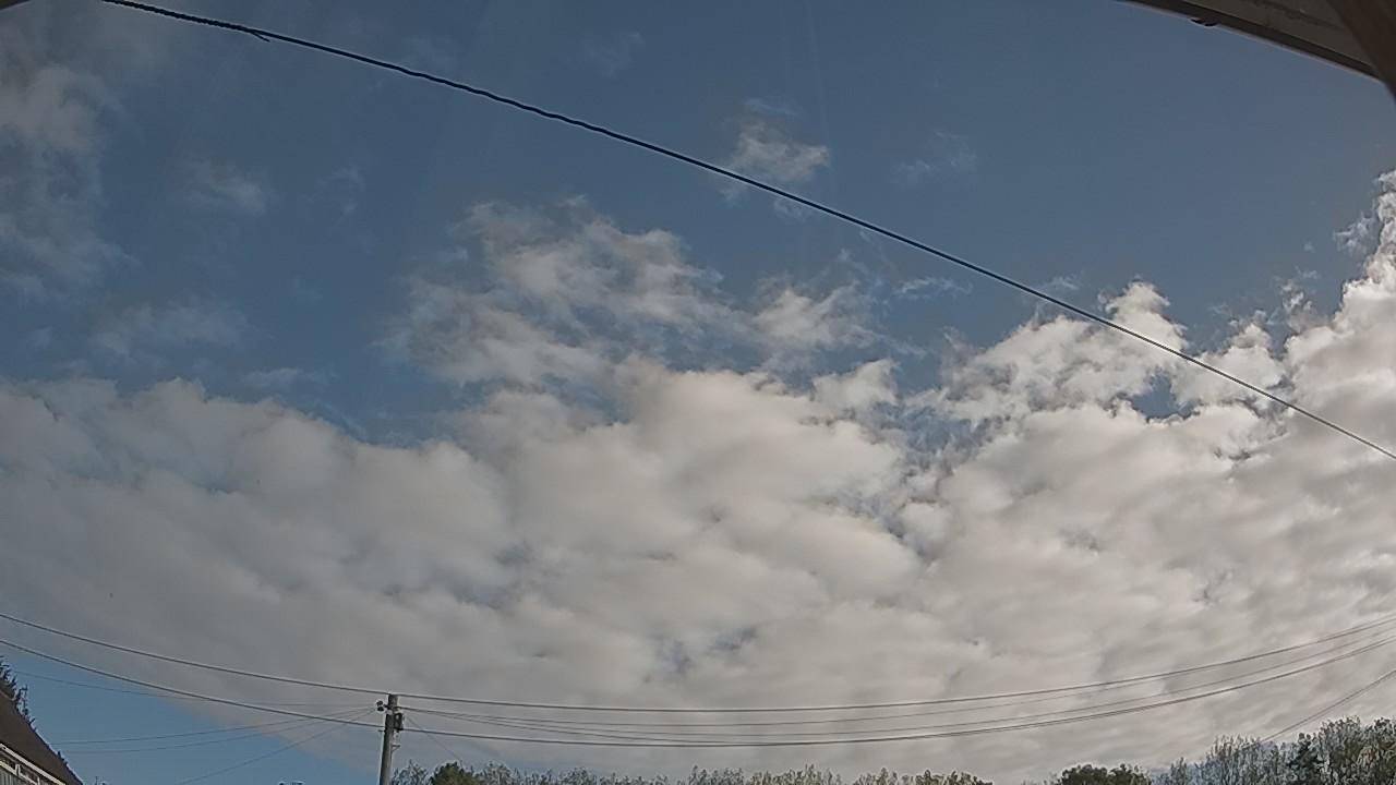 20260914_081639_cam2.jpg