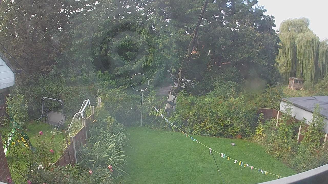 20260914_082106_cam1.jpg