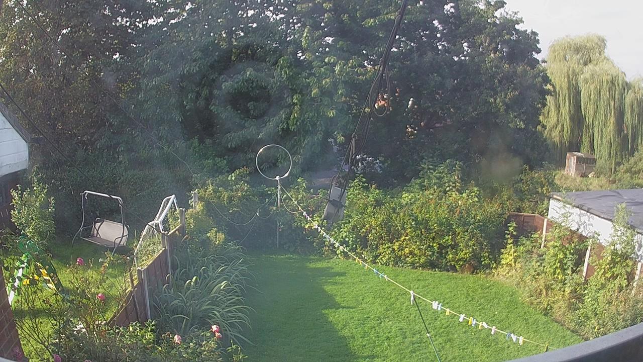 20260914_082951_cam1.jpg