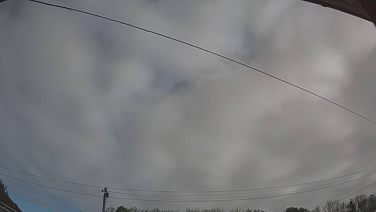 20260914_090006_cam2.jpg