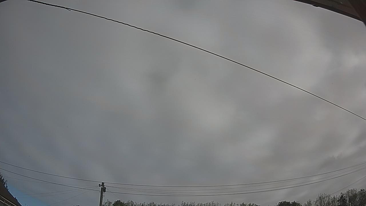 20260914_091754_cam2.jpg