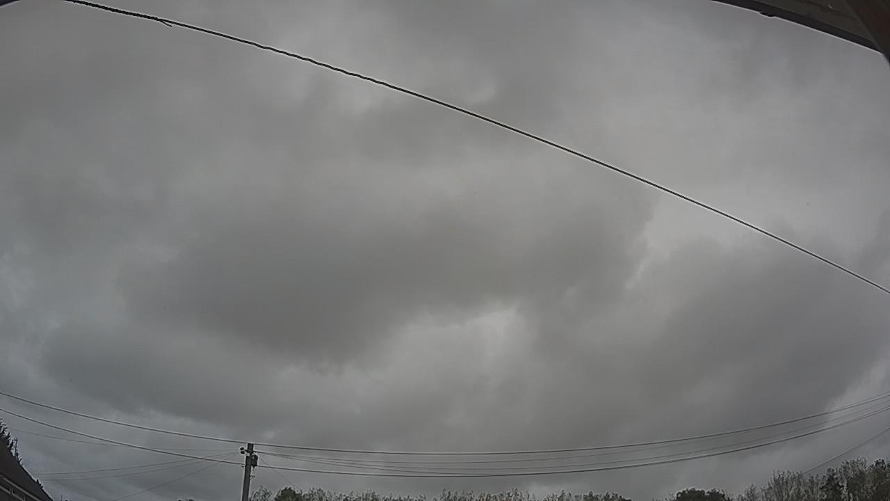 20260914_110055_cam2.jpg