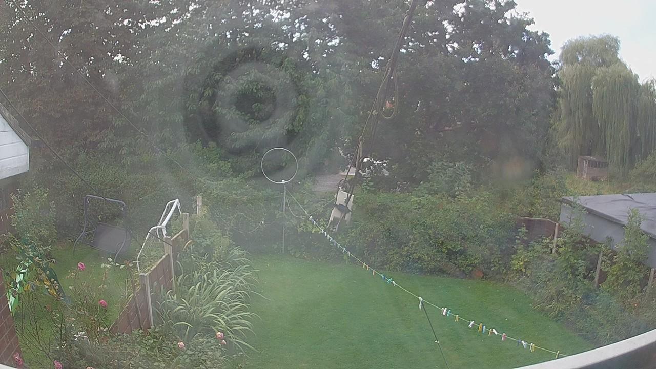 20260914_120008_cam1.jpg