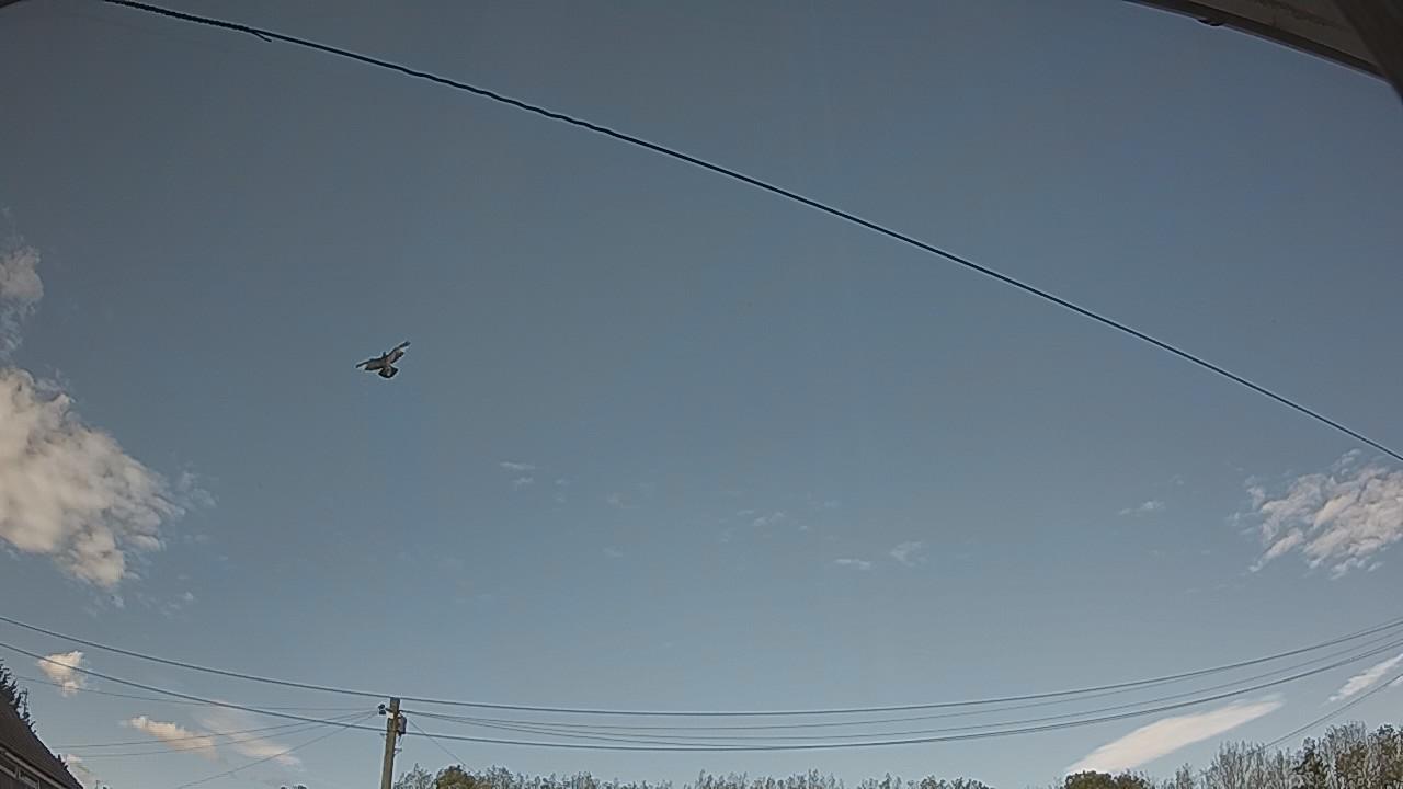 20260914_155035_cam2.jpg