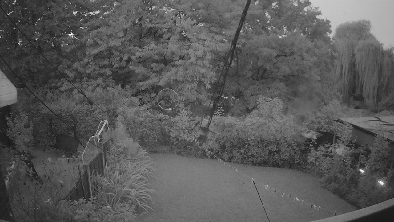 20260915_052743_cam1.jpg