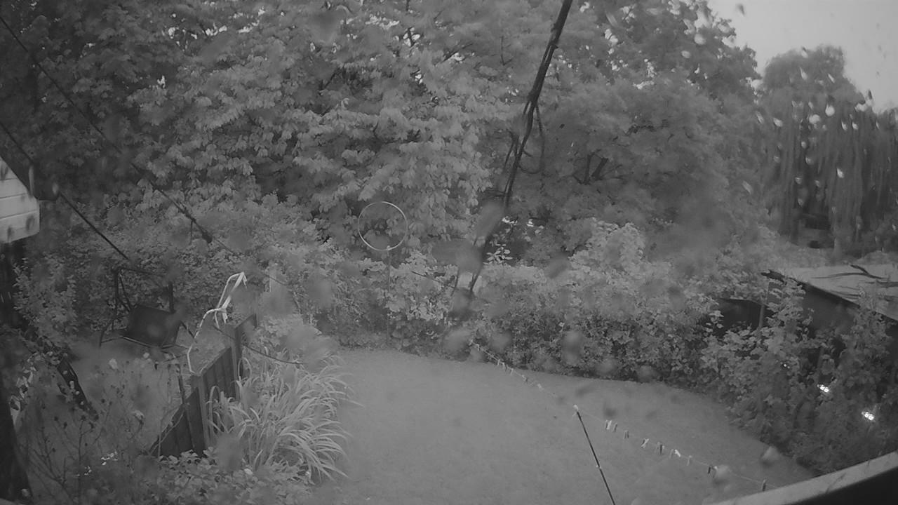 20260915_053134_cam1.jpg