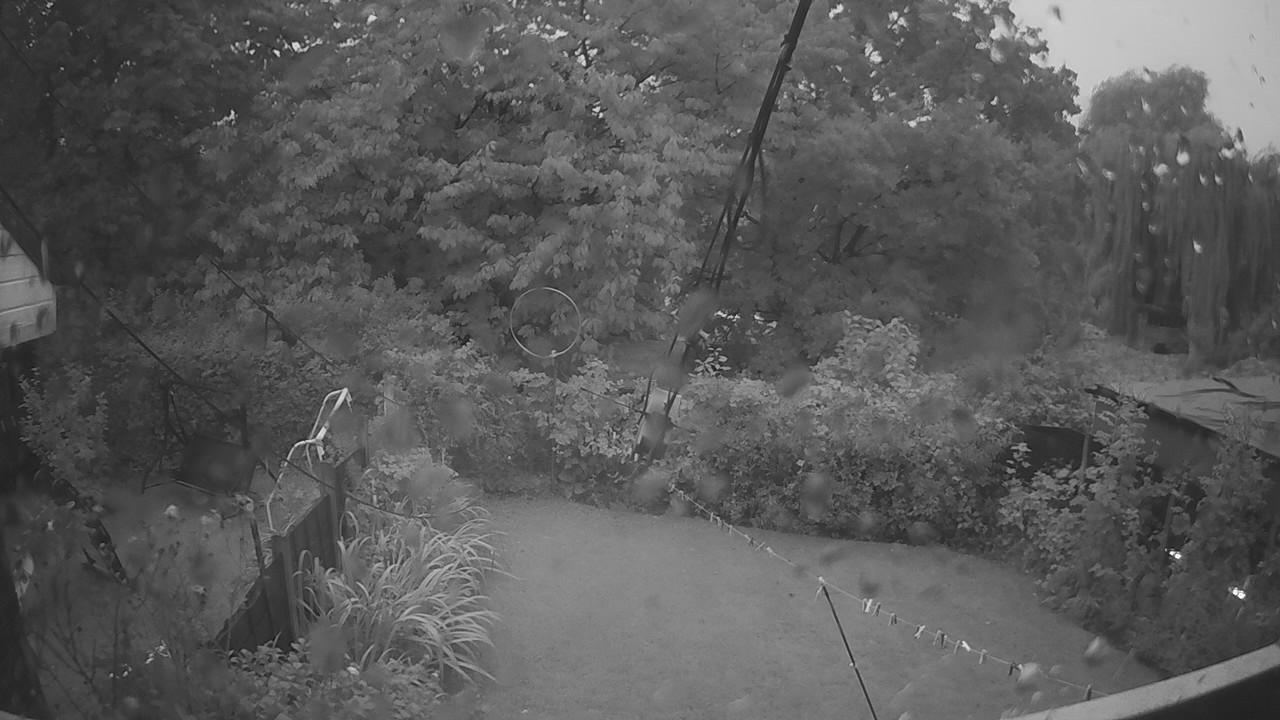 20260915_053525_cam1.jpg