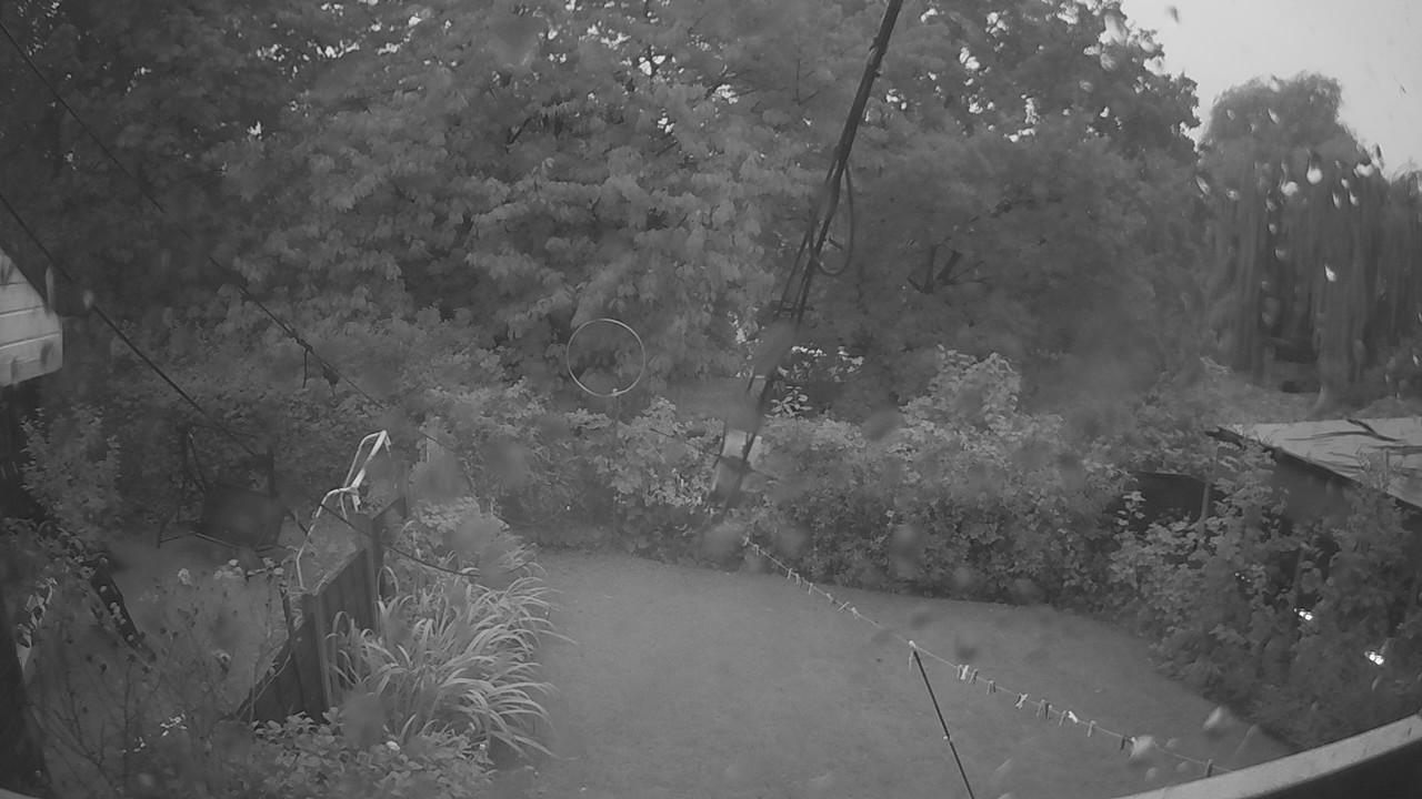 20260915_053915_cam1.jpg