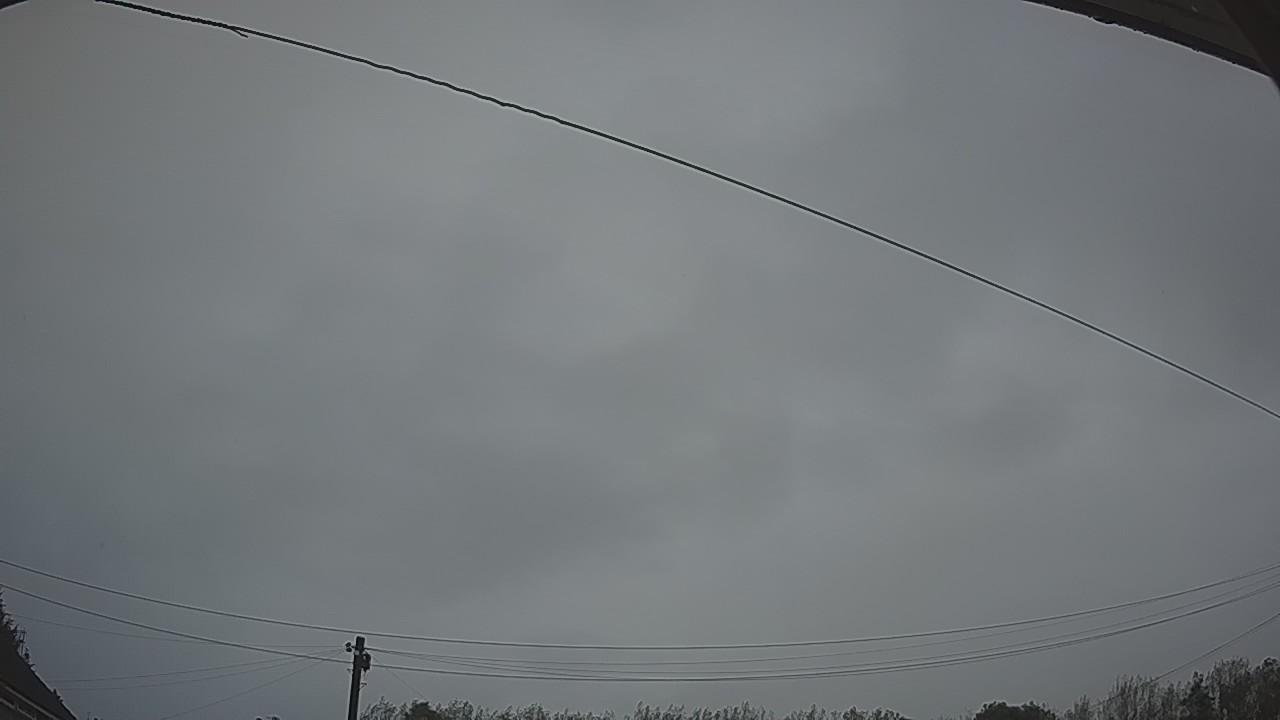 20260915_055049_cam2.jpg