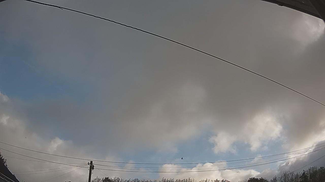 20260915_073547_cam2.jpg