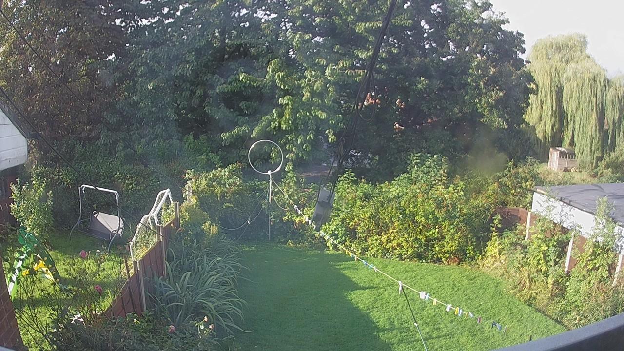 20260915_080150_cam1.jpg
