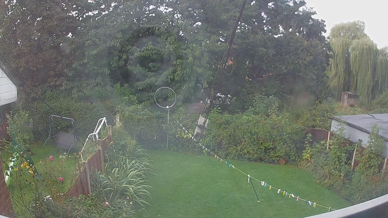 20260915_081202_cam1.jpg