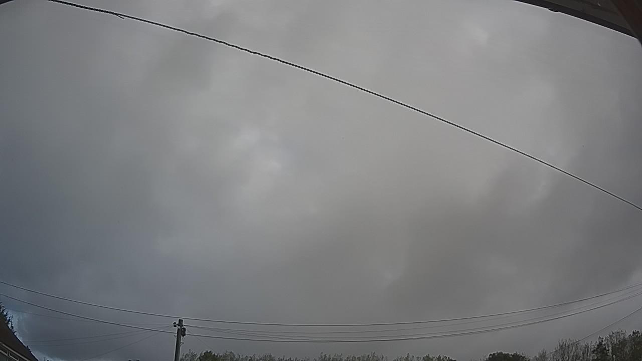 20260915_085132_cam2.jpg
