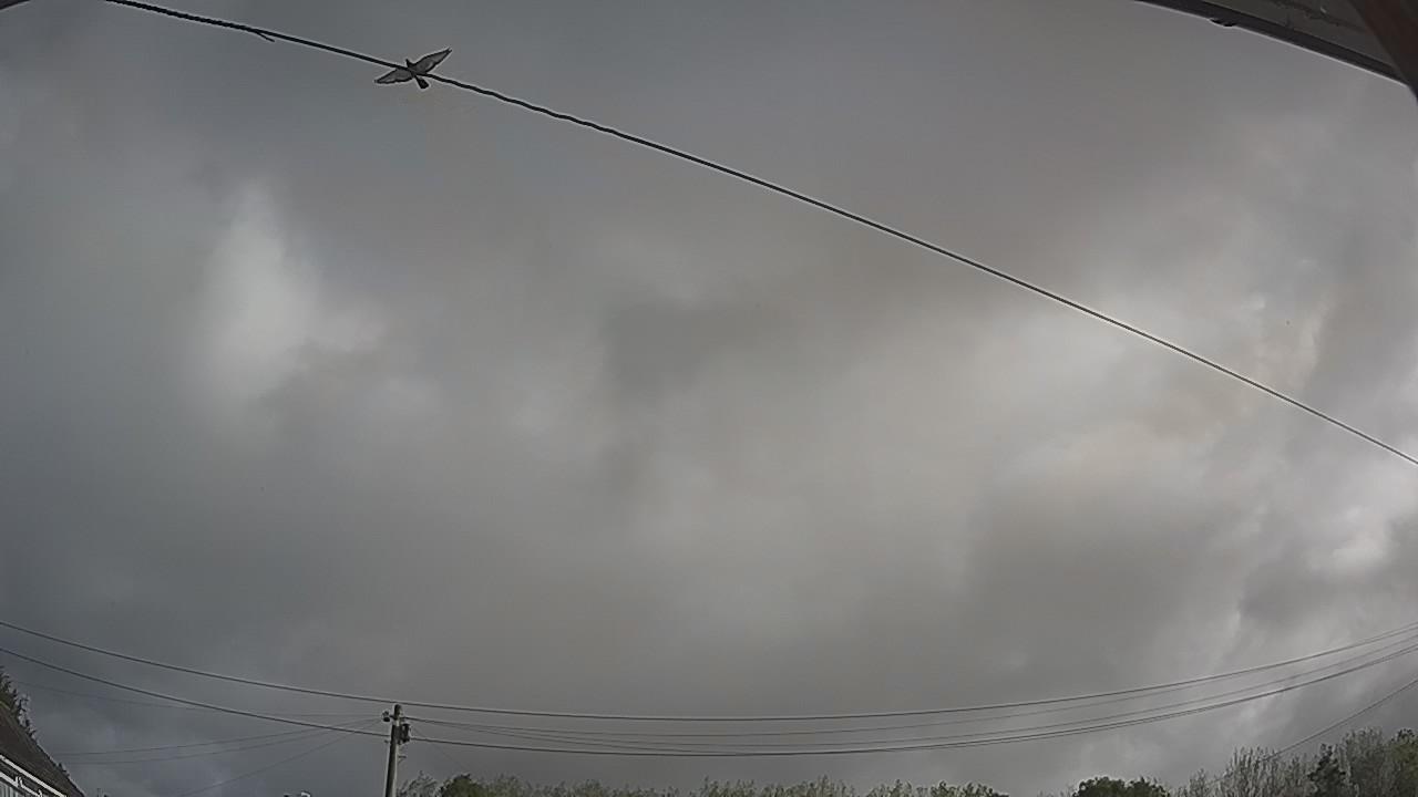 20260915_085838_cam2.jpg