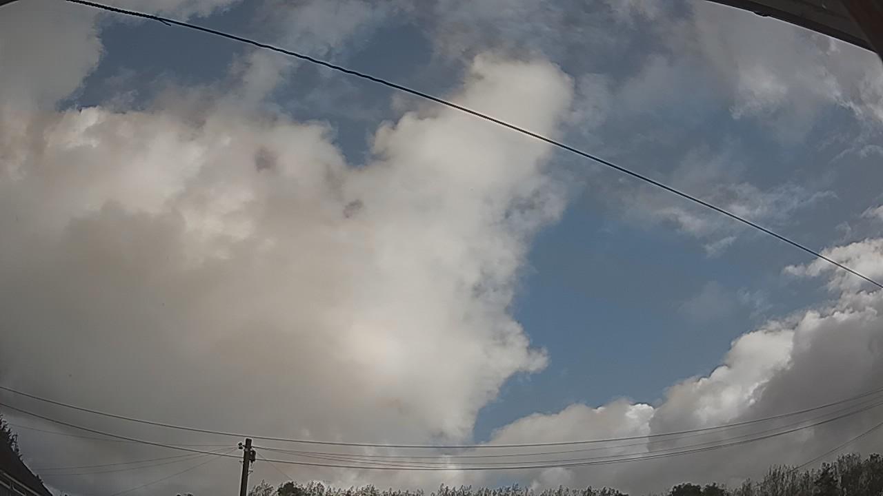 20260915_091213_cam2.jpg