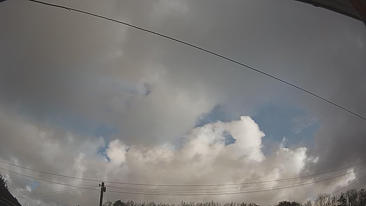 20260915_092224_cam2.jpg