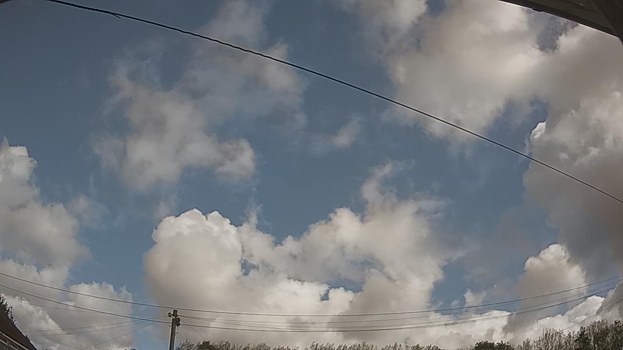 20260915_101124_cam2.jpg
