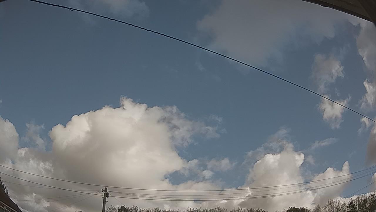 20260915_101440_cam2.jpg