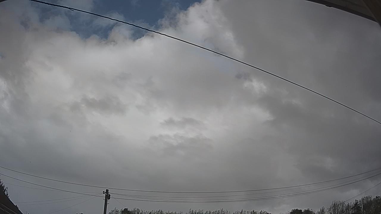 20260915_113122_cam2.jpg