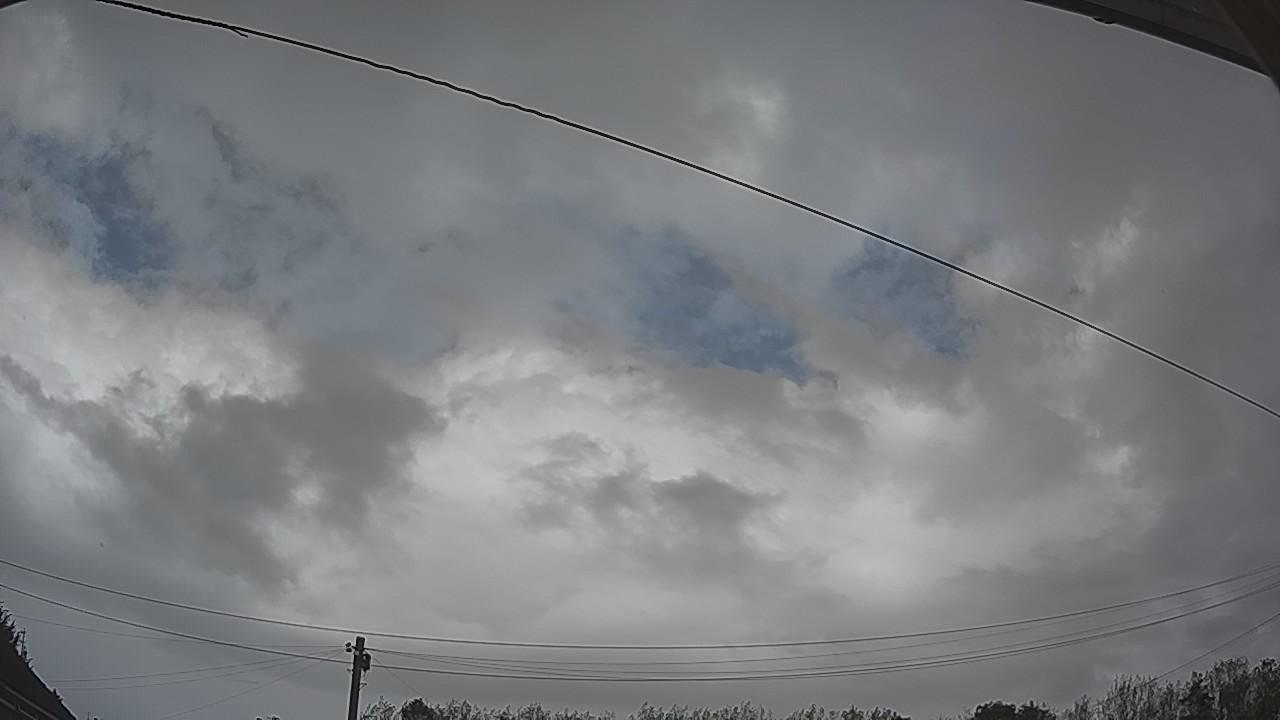 20260915_113401_cam2.jpg