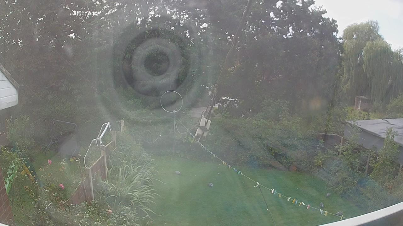 20260915_125926_cam1.jpg