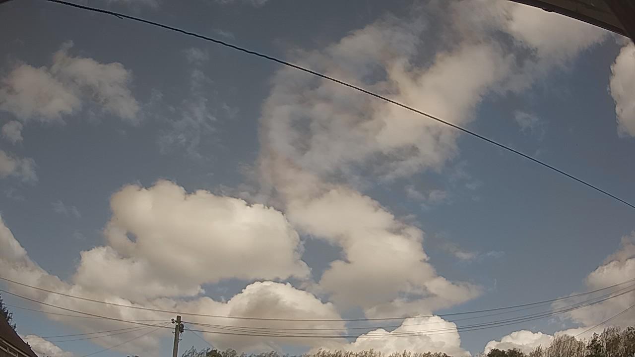 20260915_131412_cam2.jpg