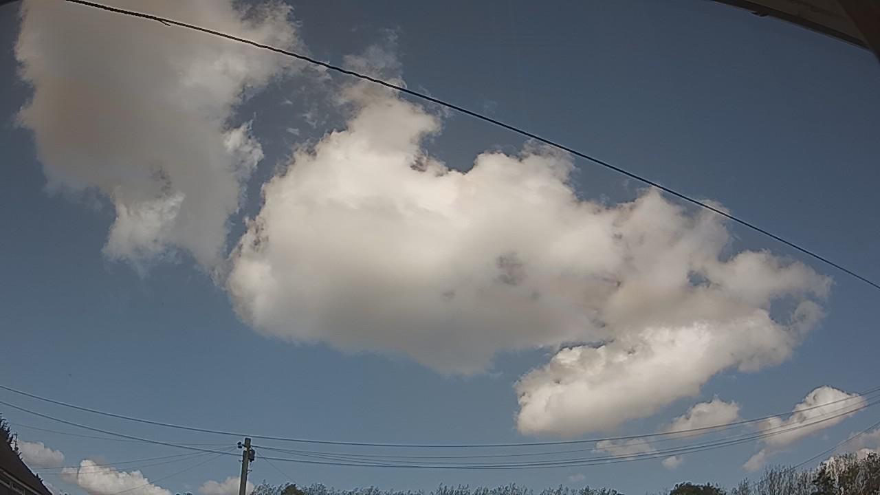 20260915_134541_cam2.jpg
