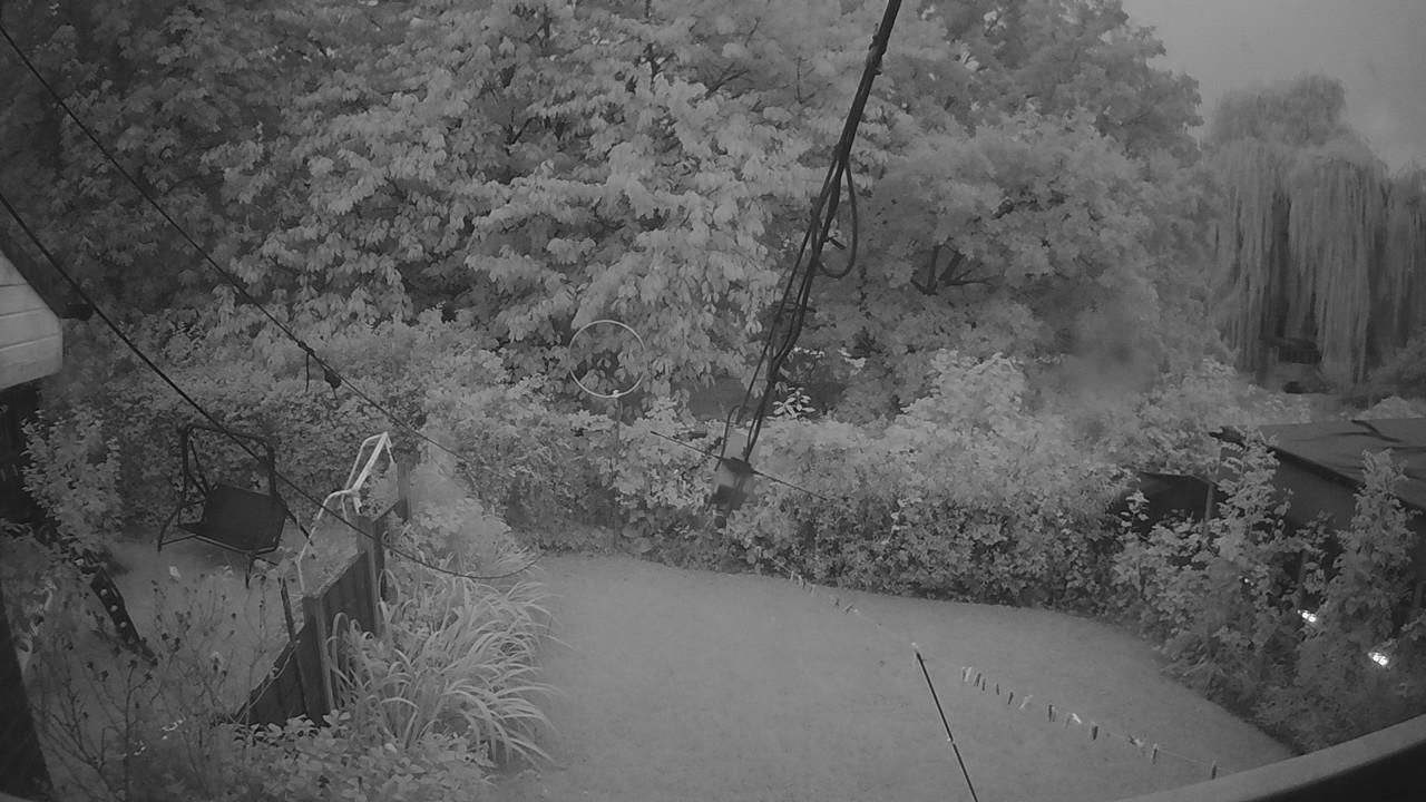 20260916_052440_cam1.jpg