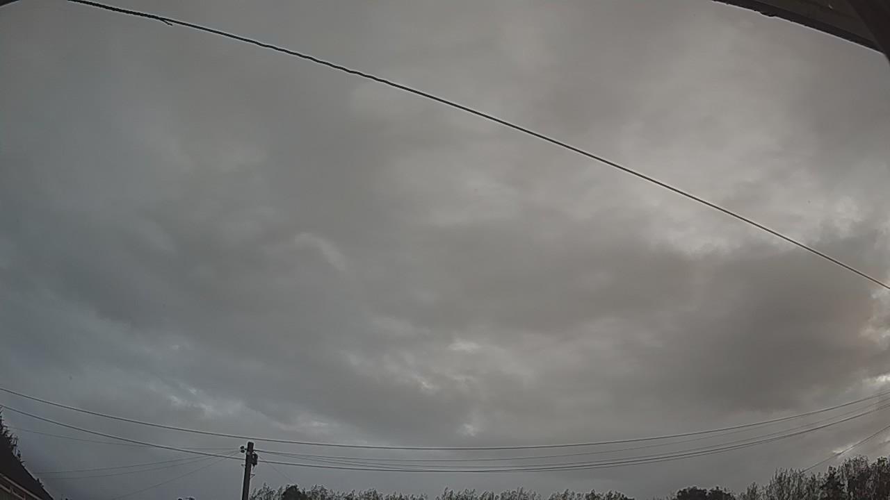 20260916_053241_cam2.jpg