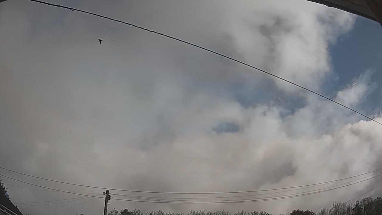 20260916_083630_cam2.jpg