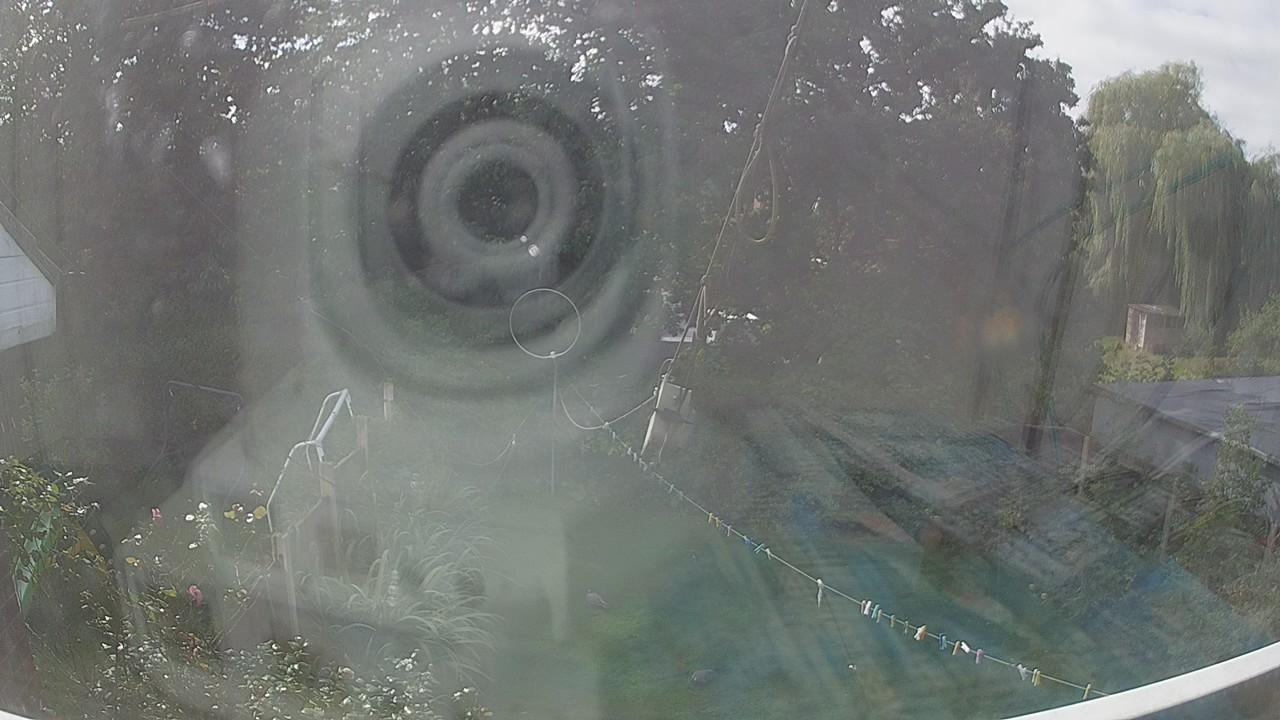 20260916_120130_cam1.jpg